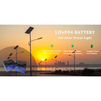 Solar Street Light Lithium Battery | LiFePO4 Battery | Customized Battery Pack