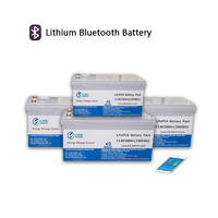LiFePO4 Bluetooth Battery | Easy Battery Monitoring | 12V 100Ah, 200Ah